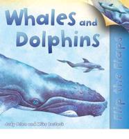 Flip the Flaps: Whales and Dolphins