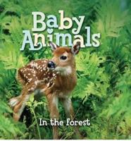 US Baby Animals: In the Forest