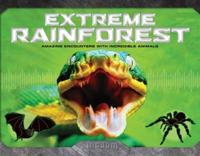 US Kingdom: Extreme Rainforest