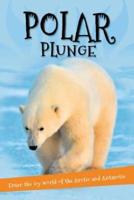 It's All About... Polar Plunge