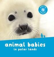 Animal Babies in Polar Lands