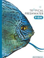 Tropical Freshwater Fish