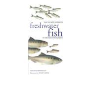 Pocket Guide to Freshwater Fish of Britain and Europe