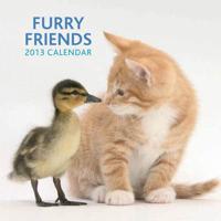 Furry Friends 2013 Calendar