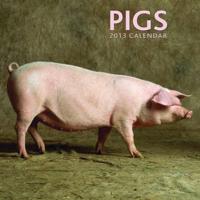 2013 Calendar: Pigs
