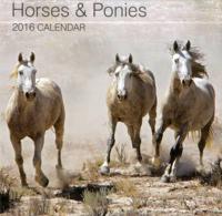 2016 Calendar: Horses & Ponies
