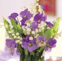 Memo Block: Purple Viola