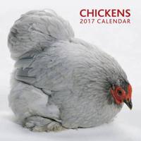 2017 Calendar: Chickens