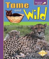 Tame and Wild