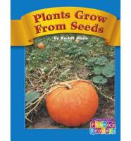 Plants Grow from Seeds