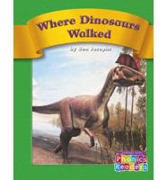 Where Dinosaurs Walked
