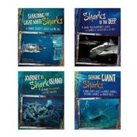 Shark Expedition