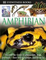 Amphibian