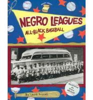 The Negro Leagues: All-black Baseball