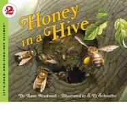 Honey in a Hive