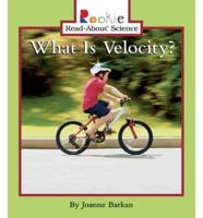 What Is Velocity?