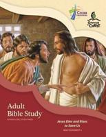 Adult Bible Study (Nt4)