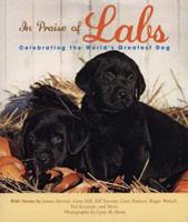 In Praise of Labs