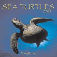 Sea Turtles 2008