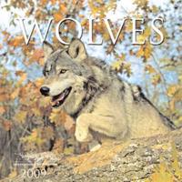 Wolves 2009 Calendar