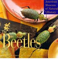 The Beetles Calendar 1999