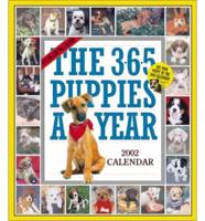 The 365 Puppies-A-Year Picture-A-Day Calendar 2002