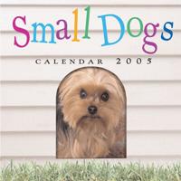 Small Dogs Mini Wall Calendar 2005