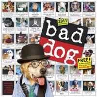 Bad Dog Wall Calendar 2011