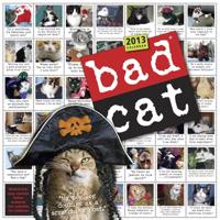 Bad Cat 2013 Wall Calendar