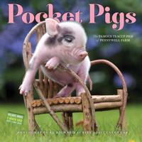 Pocket Pigs Wall Calendar 2017