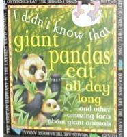 Giant Pandas Eat All Day Long
