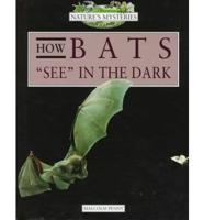 How Bats "See" in the Dark