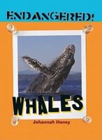 Whales