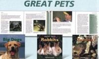 Great Pets