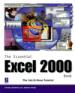 The Essential Excel 2000 Book