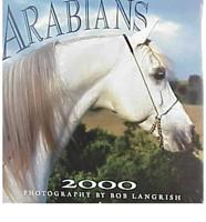 Arabians 2000