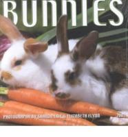 Bunnies. 2002