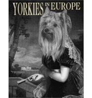 Yorkies in Europe