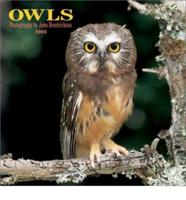 Owls. 2003