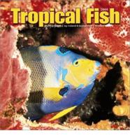 Tropical Fish Wall Calendar. 2004