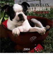 Boston Terrier Puppies Wall Calendar. 2004