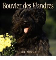 Bouvier DES Flandres Wall Calendar. 2004