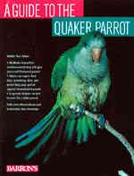 A Guide to the Quaker Parrot