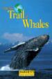 On the Trail of Whales