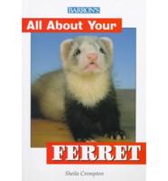 All About Your Ferret