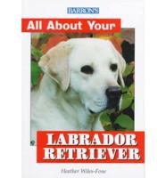 All About Your Labrador Retriever