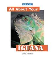 All About Your Iguana