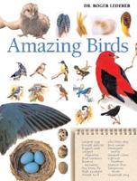 Amazing Birds