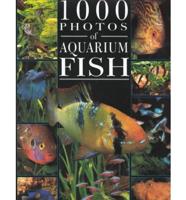 1000 Photos of Aquarium Fish