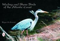 Wading and Shore Birds of the Atlantic Coast